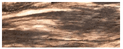 Shadows - composition by Jill Jarman